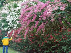 -杭州城北体育公园