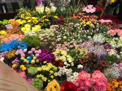 -双季花艺园艺市场(浦东店)