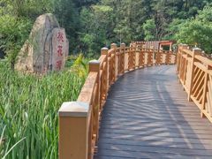 -神光山国家森林公园