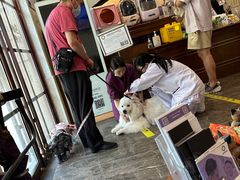 -宠爱国际动物医院·消化内科·心肾内科·ISFM猫友好(望京店)