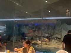 -帝企鹅自助餐厅•儿童岛•真企鹅(长隆企鹅酒店)