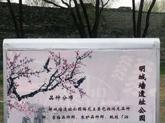 -北京明城墙遗址公园