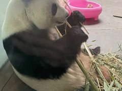 -青藏高原野生动物园