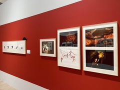 -【朵云轩艺术中心】博洛尼亚插画展·中国巡展·上海站