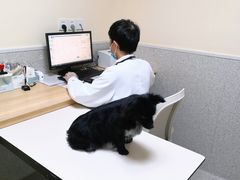 -谐和贝康宠物医院24小时·宠保定点(急重症转诊中心)
