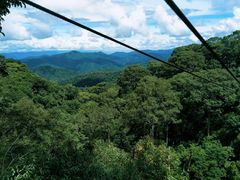 -清迈丛林飞跃 JungleFlight