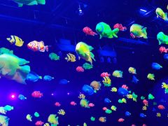 -三亚千古情景区游客中心-接待中心