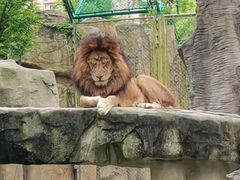 -上海野生动物园