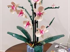 -Again Coffee Roaster(香蜜湖店)