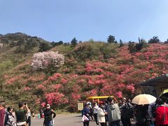-木兰云雾山