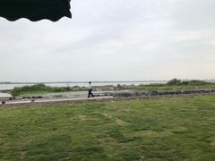 -七的湖·晚芳亭·阳澄湖农家菜·大闸蟹(莲花岛店)