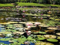 -中国科学院西双版纳热带植物园