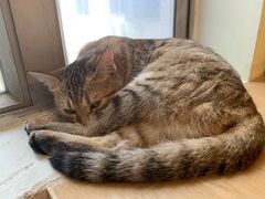 -H立方实景剧情密室(天河旗舰店)