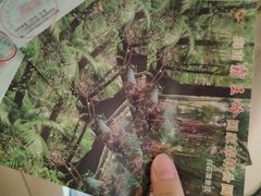 -海南霸王岭国家森林公园