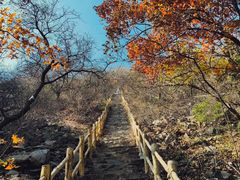 -北京西山国家森林公园