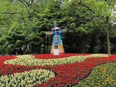 -上海共青森林公园