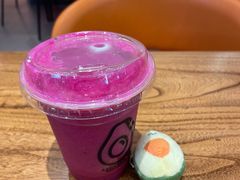 -油梨树 AVOCADO TREE(亮马桥店)