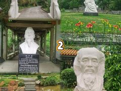 -深圳仙湖植物园