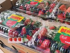 零售区-上海龙吴水胜海发市场