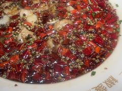 -眉州东坡(清河万象汇店)