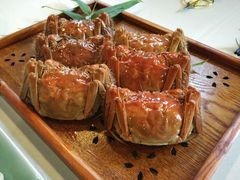 -梧桐花园餐厅(新城店)