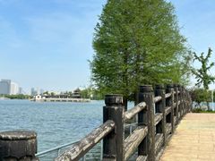 -苏州上方山国家森林公园