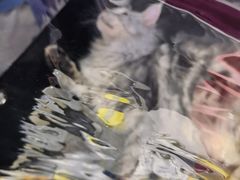 -尹记餐馆(花园店)