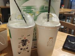 -雾与山茶(大禹城店)
