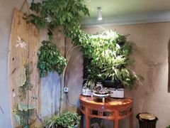 -慢丽江·云南野生菌土鸡锅(西山店)