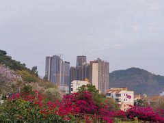 -小南山公园