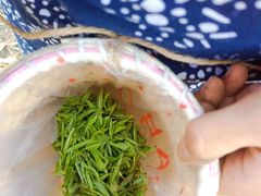 -玉女潭景区