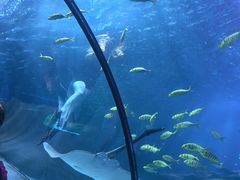 -太平洋海底世界