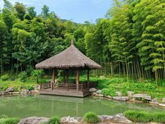 -兰亭风景区
