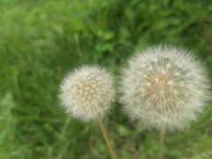 -长安大学(北校区)