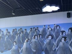 -海合安青岛极地海洋公园