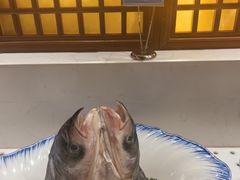 -解家河南菜(金水路店)