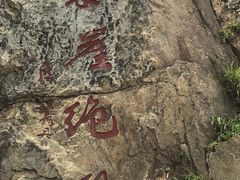 -枸杞岛