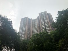 -杨记隆府(白象街店)