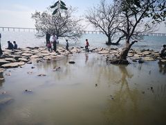 -宝安西湾红树林湿地公园