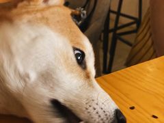 -餐酒吧Com-ing Bar(上海路店)