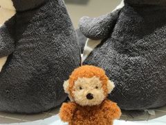 -深圳湾万象城(南山店)