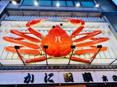 -蟹道乐(道顿堀本店)