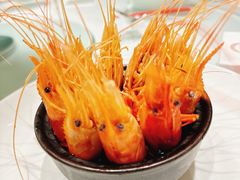 熟醉大头虾-红城阁·上海味道(四平路店)