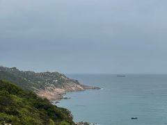-广东惠东海龟国家级自然保护区
