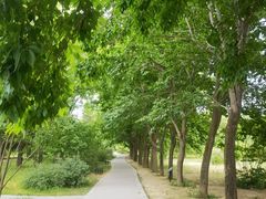 -国家植物园南园