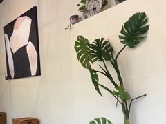 -三猫黑鱼花(南大店)
