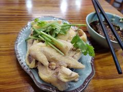 -九斤黄三黄鸡专卖店