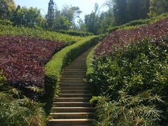 -中山市树木园