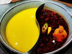 -青瓷火锅料理(西单大悦城店)