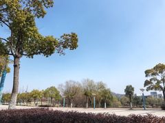 -南京邮电大学(仙林校区)